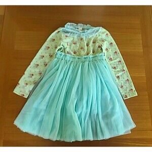 Girl's Floral Tulle Dress Used